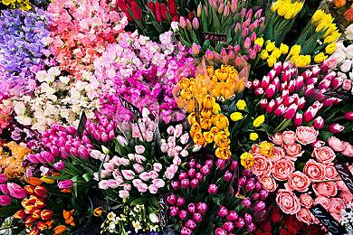 奇幻风城市建造模拟游戏《繁星之海》现已在Steam平台推出试玩Demo