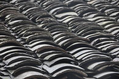 《往日不再》总监Jeff Ross加入水晶动力工作室