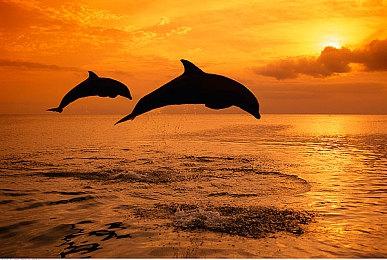 黑客冒险游戏《再编译》8月上架Steam 支持简体中文